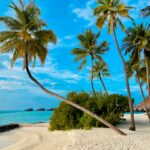 Maldives des img (2)