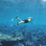 Maldives des img (5)