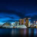 Singapore des img (3)