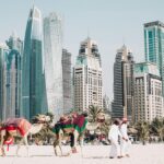 dubai des img (4)