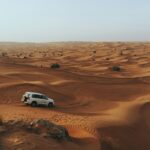 dubai des img (5)