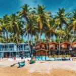 goa des img (4)