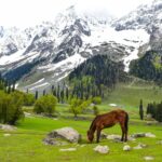 kashmir im (5)