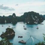vietnam des img (6)